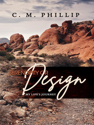 cover image of Serendipity or Design